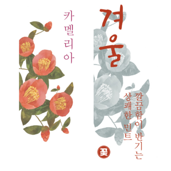 겨울꽃 [ 카멜리아]