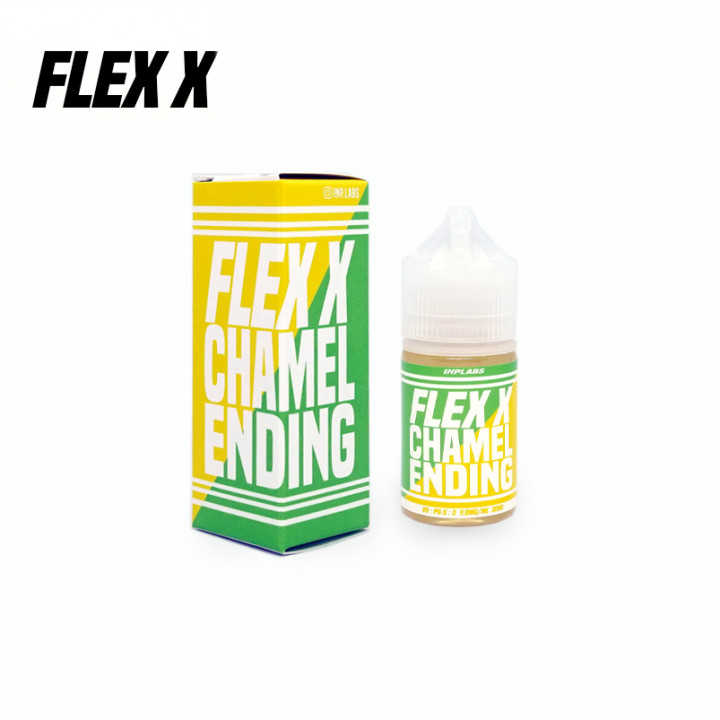 FLEX X Chamel Ending